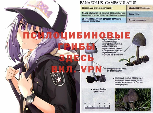 кокаин перу Беломорск