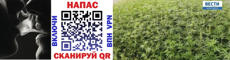 Бошки Шишки SATIVA & INDICA  наркотики  Волчанск 